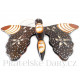 Motýl 1 soška - dekorace / Dřevo 18x25cm